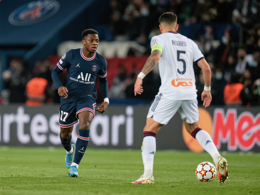 似乎更倾向 似乎更倾向